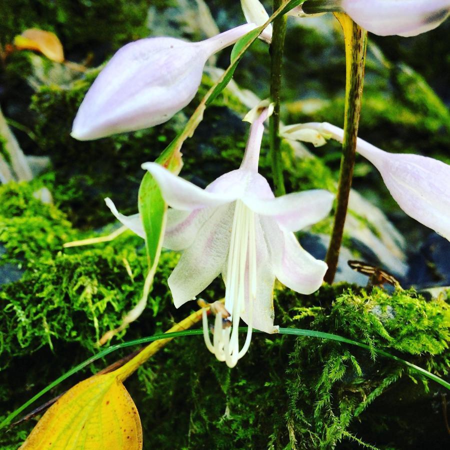 Otsu Nature Garden Akiruno ภายนอก รูปภาพ