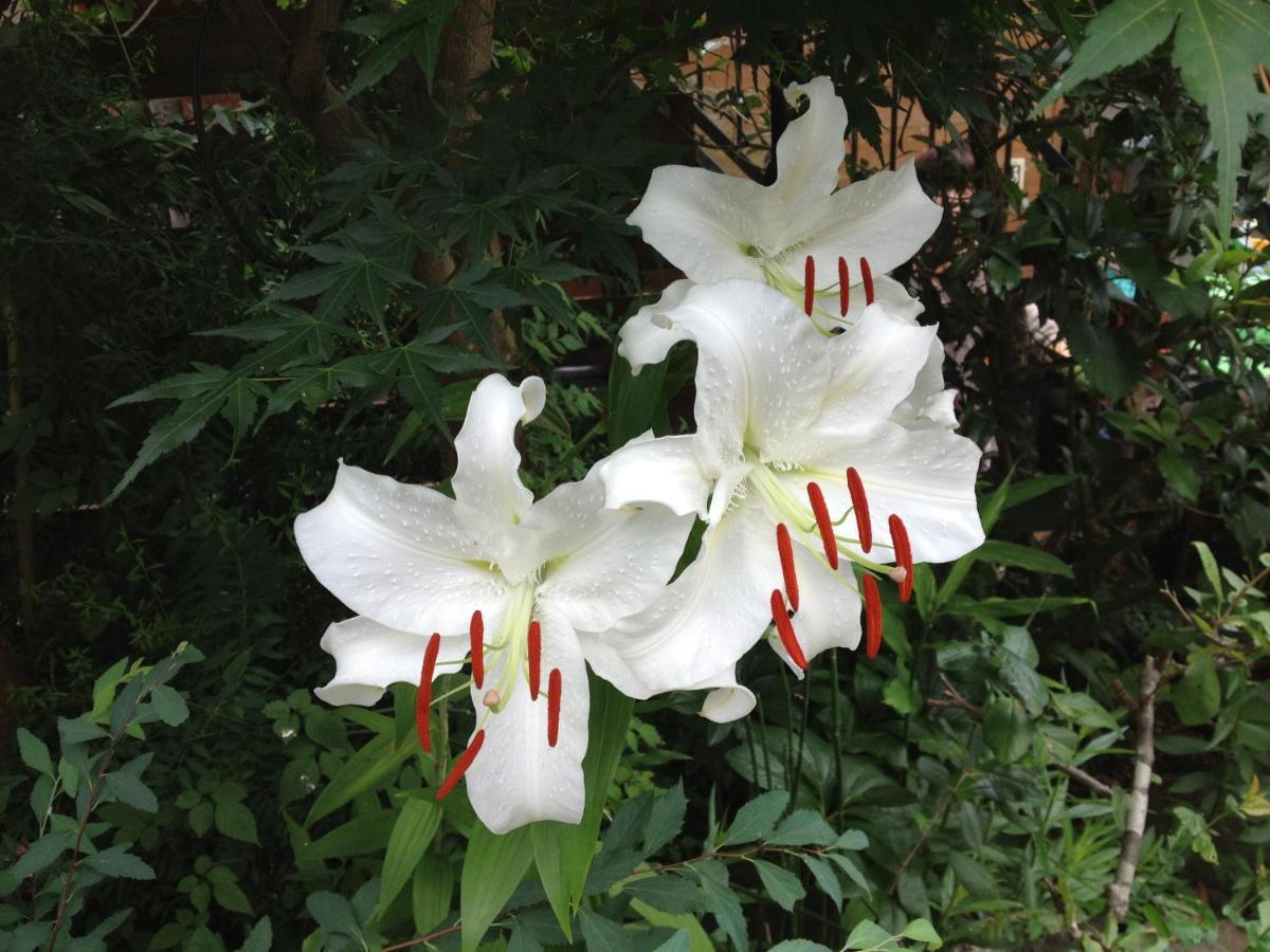 Otsu Nature Garden Akiruno ภายนอก รูปภาพ