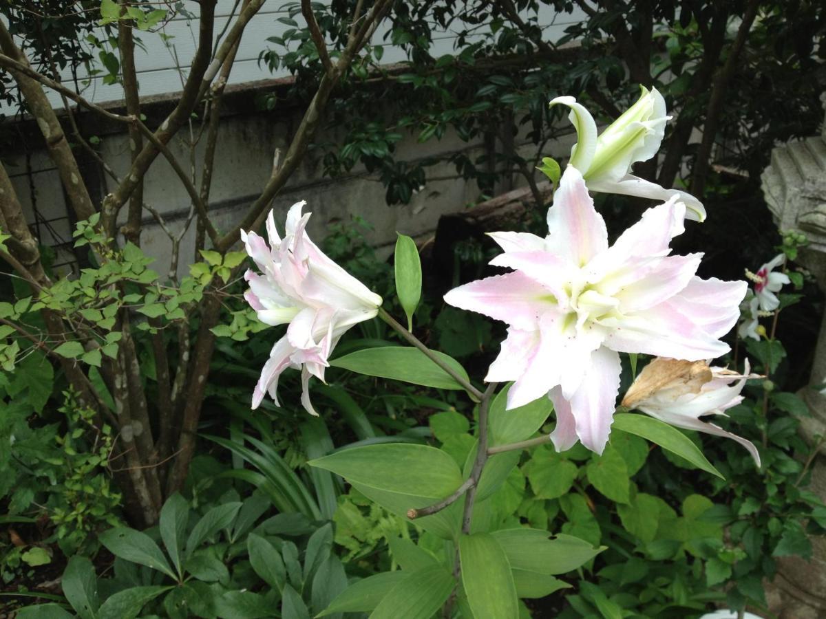 Otsu Nature Garden Akiruno ภายนอก รูปภาพ