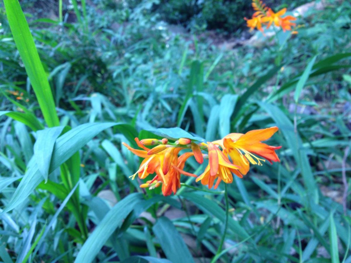 Otsu Nature Garden Akiruno ภายนอก รูปภาพ