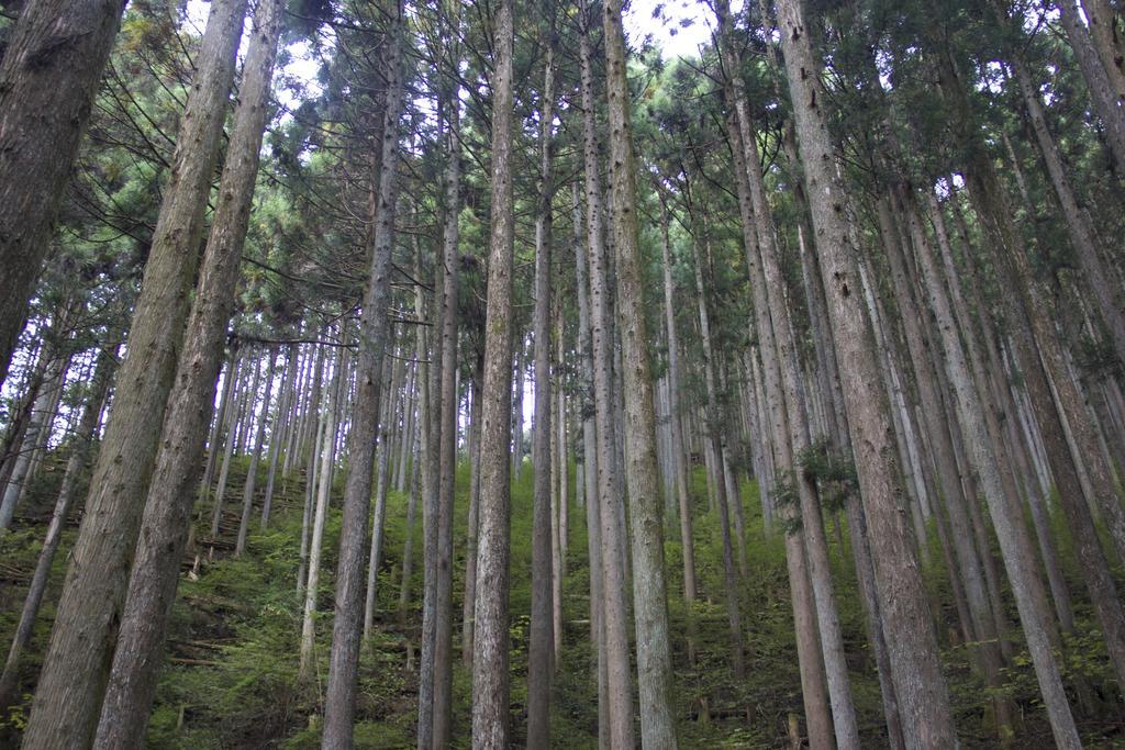 Otsu Nature Garden Akiruno ภายนอก รูปภาพ